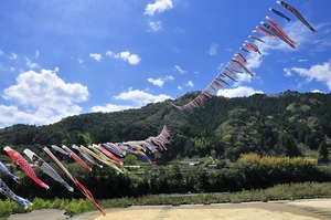 イベント