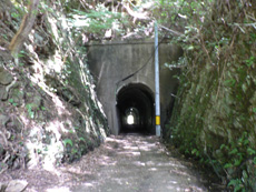 旧大正林道木屋ヶ内トンネル