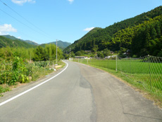 県道昭和中村線