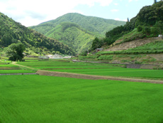 町道下津井線