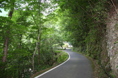 町道大奈路中津川線