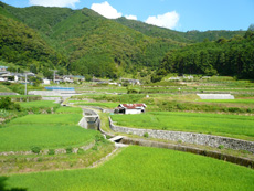 町道昭和戸口線