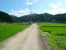 町道三島線