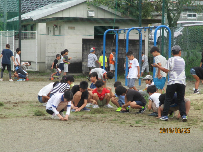 子どもたちは運動場の草引き