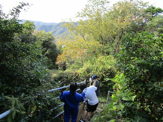 避難路清掃