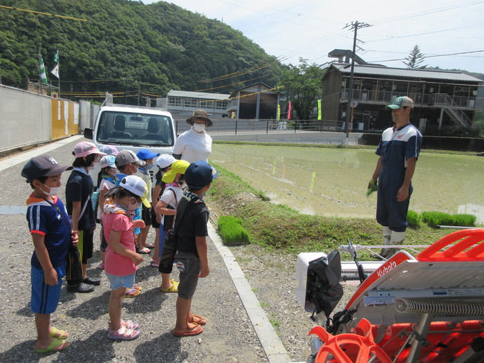 田植え