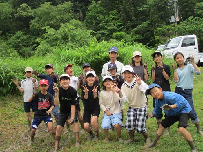 田植え